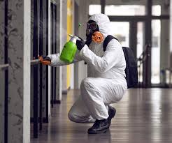 Why You Should Choose Our Mold Remediation Services in Grand Rapids, MN